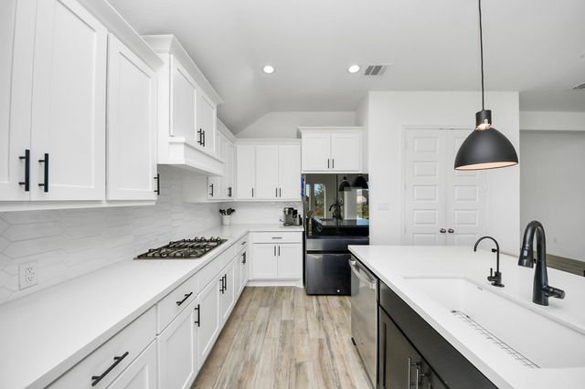 24919 Hibiscus Garden Way, Katy, TX 77493