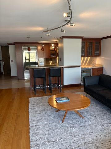 201 E CHESTNUT Street 22C, Chicago, IL 60611
