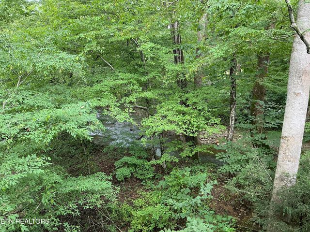 4390 Cosby Hwy, Cosby, TN 37722