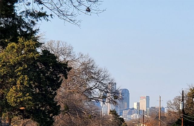 2228 Van Cleave Drive, Dallas, TX 75216