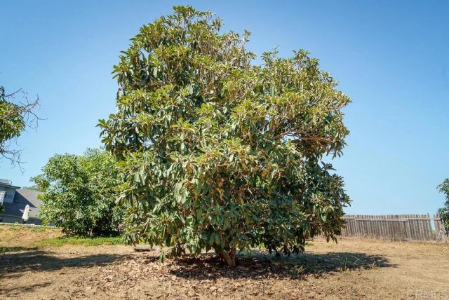 1139 Big Oak Ranch Rd., Fallbrook, CA 92028