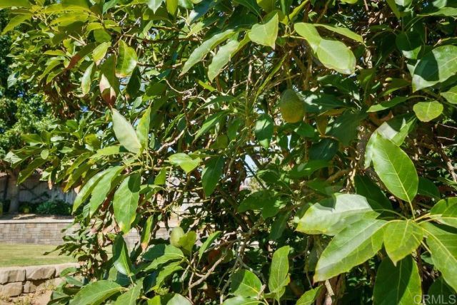 1139 Big Oak Ranch Rd., Fallbrook, CA 92028