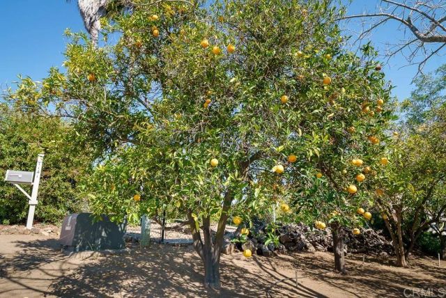 1139 Big Oak Ranch Rd., Fallbrook, CA 92028