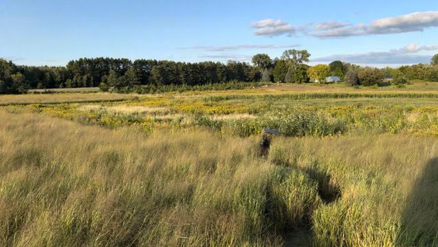 32266 Virgo Street NE, North Branch, MN 55056