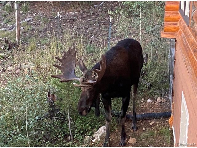 521 Golden Gate Dr, Golden, CO 80403