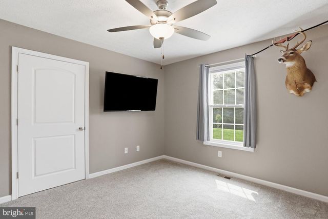 4111 MORELAND GAP ROAD, New Market, VA 22844