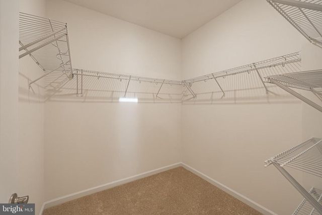 497 BAYBERRY LN, Zion Crossroads, VA 22942