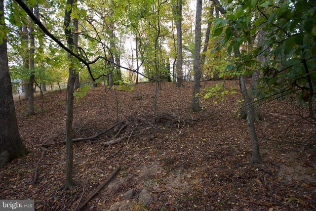 9921 WOODROW ST, Vienna, VA 22181