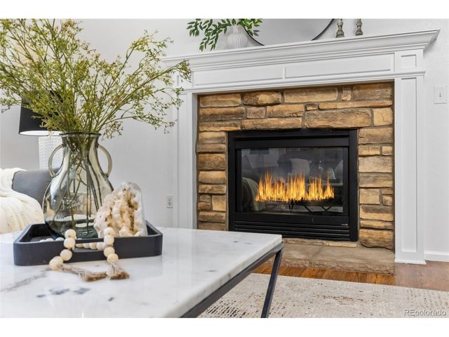 9387 Branham Dr, Parker, CO 80134