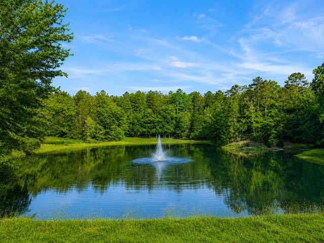 1572 Windstone Drive, Ringgold, GA 30736
