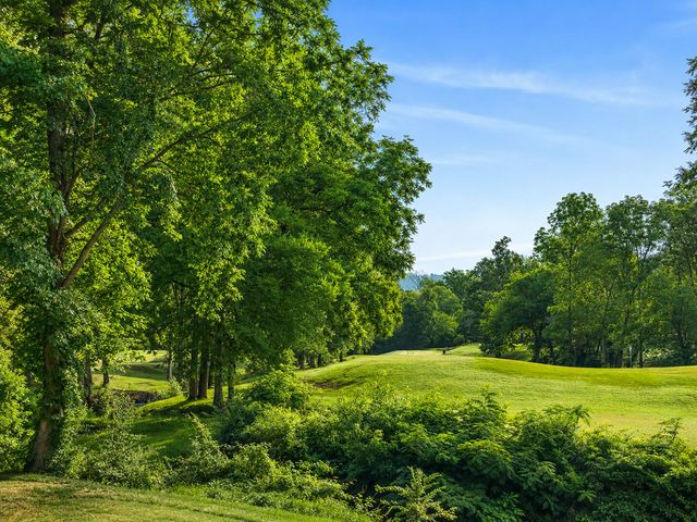 1572 Windstone Drive, Ringgold, GA 30736
