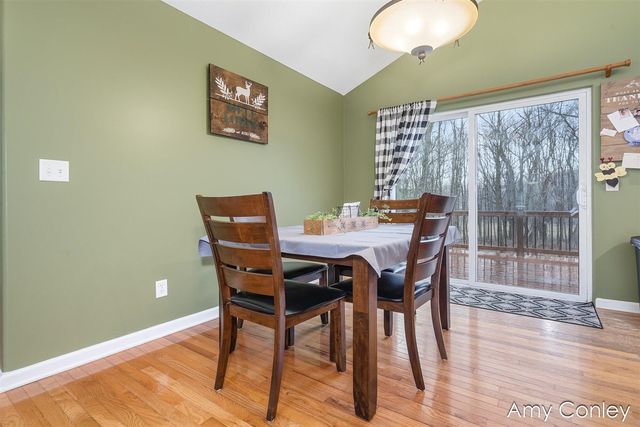 1214 Delaney Drive, Martin, MI 49070