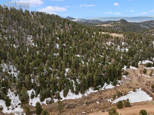 278 Penrose Circle, Cripple Creek, CO 80813