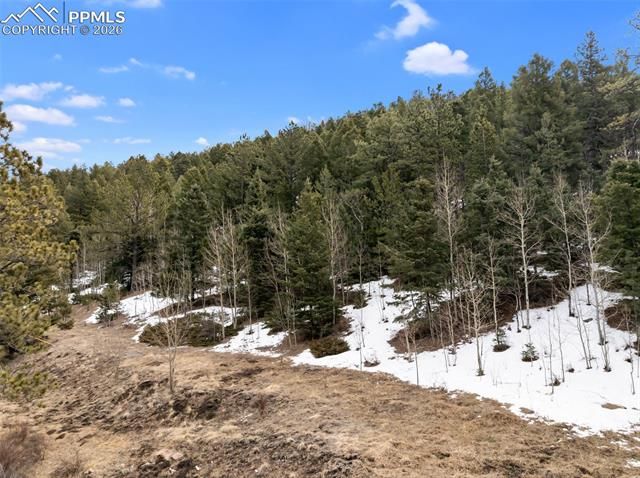 278 Penrose Circle, Cripple Creek, CO 80813