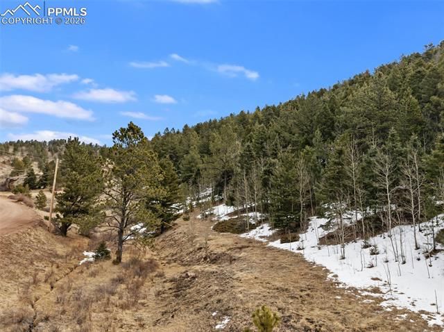 278 Penrose Circle, Cripple Creek, CO 80813