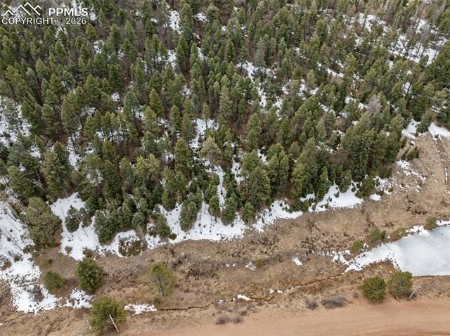 278 Penrose Circle, Cripple Creek, CO 80813