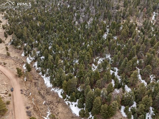 278 Penrose Circle, Cripple Creek, CO 80813