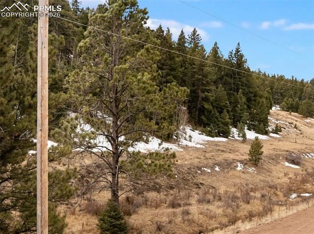 278 Penrose Circle, Cripple Creek, CO 80813