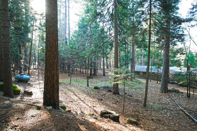 30936 Bambi Drive, Shingletown, CA 96088