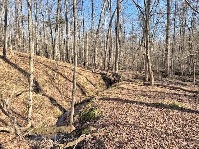 167 Great Meadows Dr, Gaffney, SC 29340