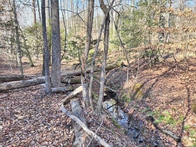 167 Great Meadows Dr, Gaffney, SC 29340