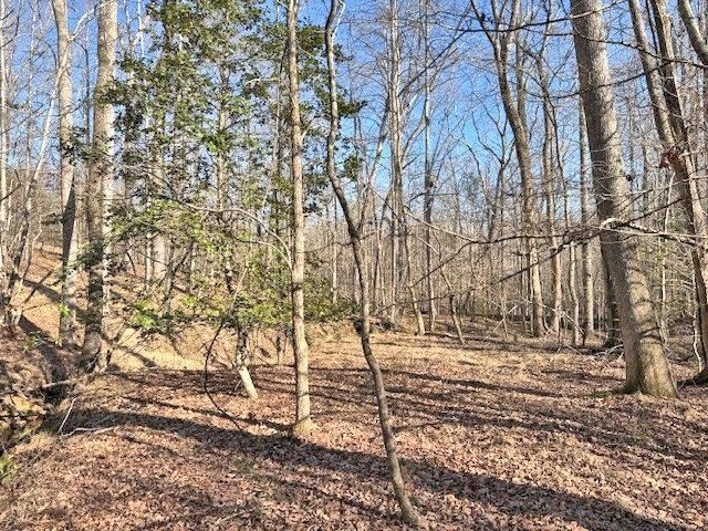 167 Great Meadows Dr, Gaffney, SC 29340