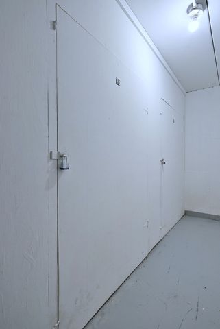 360 Claymoor Avenue 2E, Hinsdale, IL 60521