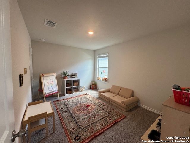 222 Grey Woodpecker, San Antonio, TX 78253