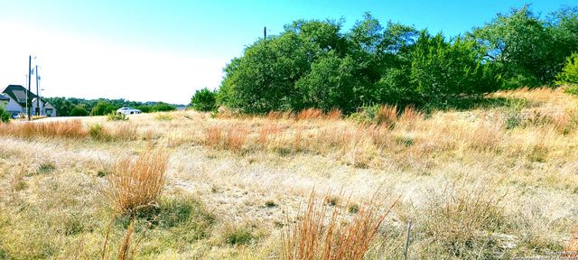 109 Manuel Herrera, Blanco, TX 78606