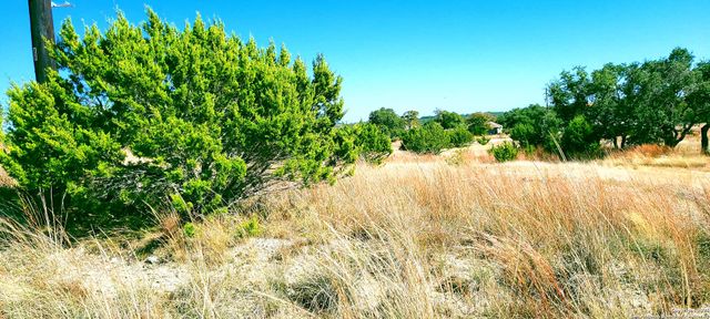 109 Manuel Herrera, Blanco, TX 78606