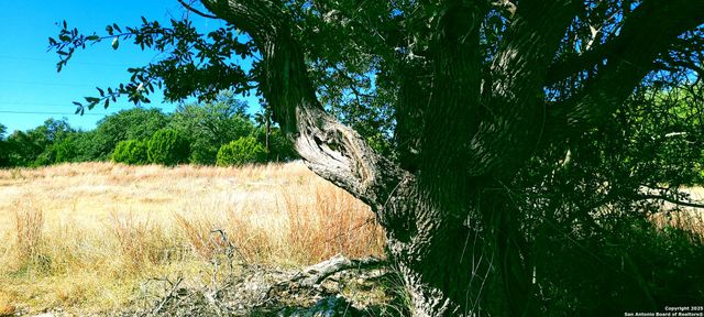 109 Manuel Herrera, Blanco, TX 78606