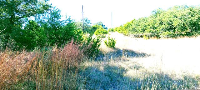 109 Manuel Herrera, Blanco, TX 78606