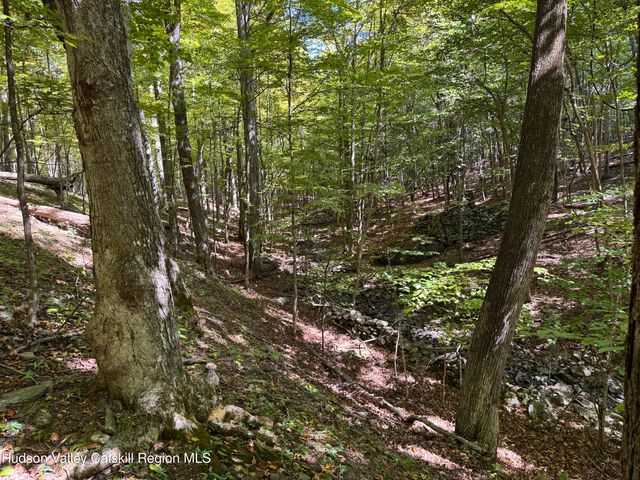 Tbd Strong Road, Cornwallville, NY 12418