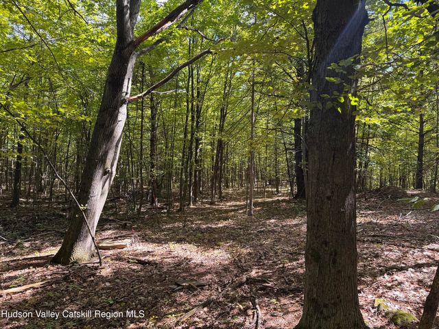 Tbd Strong Road, Cornwallville, NY 12418