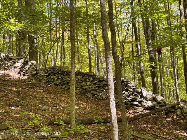 Tbd Strong Road, Cornwallville, NY 12418