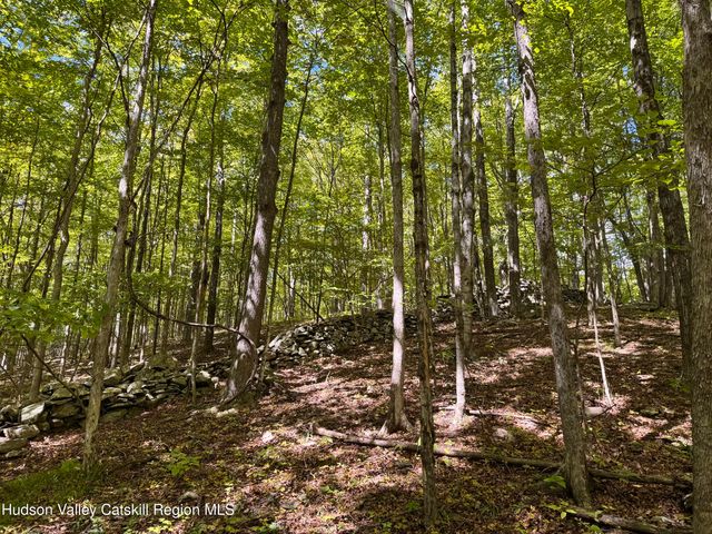 Tbd Strong Road, Cornwallville, NY 12418