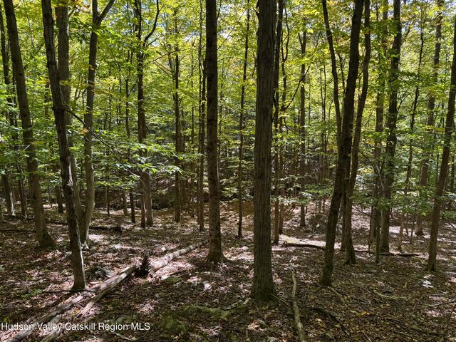 Tbd Strong Road, Cornwallville, NY 12418