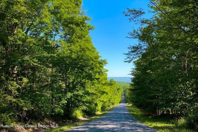 Tbd Strong Road, Cornwallville, NY 12418