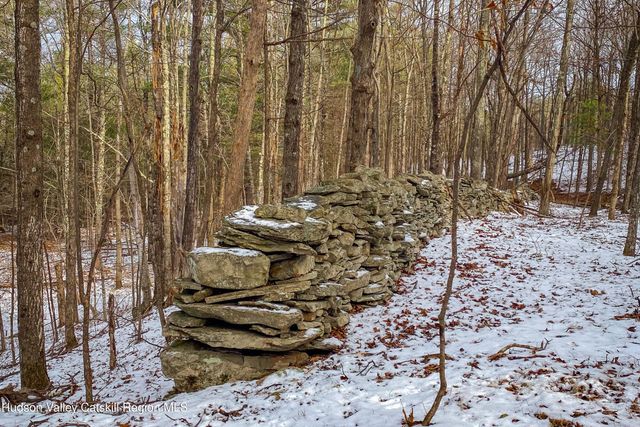 Tbd Strong Road, Cornwallville, NY 12418