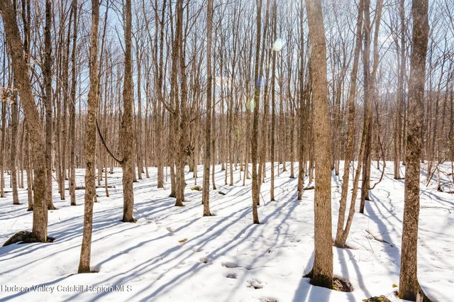 Tbd Strong Road, Cornwallville, NY 12418