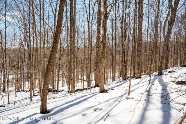 Tbd Strong Road, Cornwallville, NY 12418