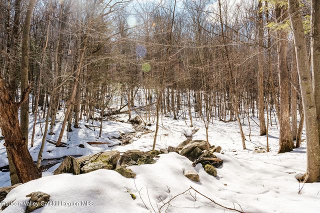 Tbd Strong Road, Cornwallville, NY 12418