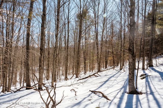 Tbd Strong Road, Cornwallville, NY 12418