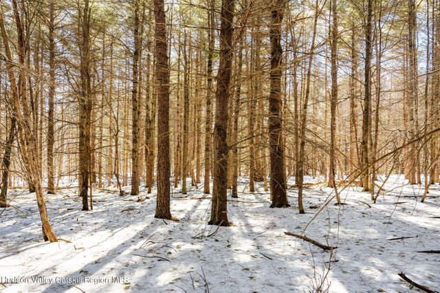 Tbd Strong Road, Cornwallville, NY 12418