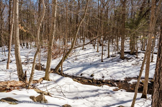 Tbd Strong Road, Cornwallville, NY 12418