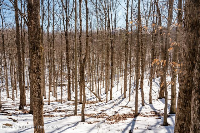 Tbd Strong Road, Cornwallville, NY 12418