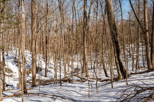 Tbd Strong Road, Cornwallville, NY 12418