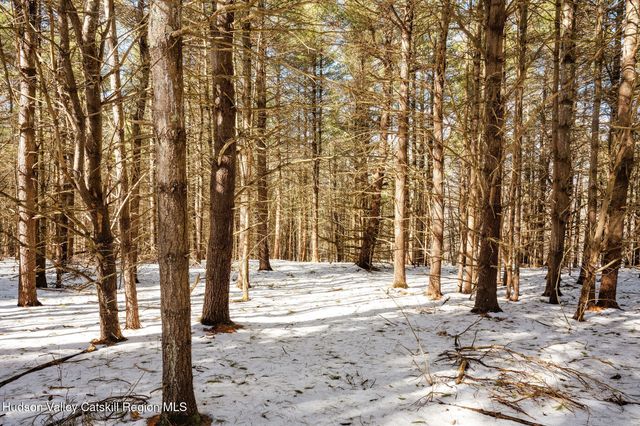 Tbd Strong Road, Cornwallville, NY 12418