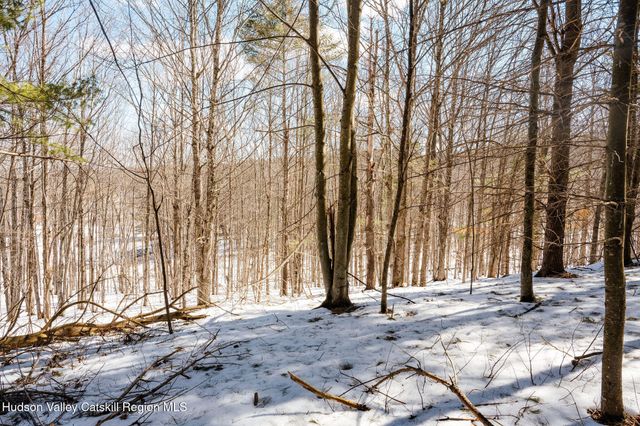 Tbd Strong Road, Cornwallville, NY 12418