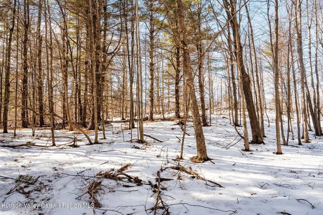 Tbd Strong Road, Cornwallville, NY 12418